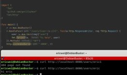 Go Pentester - HTTP Servers(2)