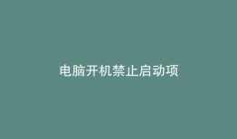 电脑开机禁止启动项