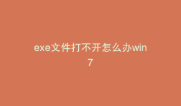 exe文件打不开怎么办win7