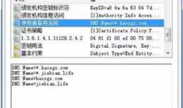 生成线上用https证书，支持通配符和多域名，初学Let’s Encrypt用于IIS，纯本地手动
