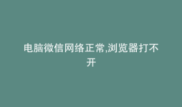 电脑微信网络正常,浏览器打不开