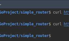 Go Pentester - HTTP Servers(1)