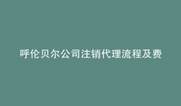 呼伦贝尔公司注销代理流程及费用