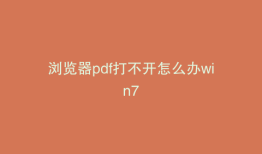 浏览器pdf打不开怎么办win7