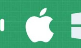 Native、Web App、Hybrid、React Native（简称RN）、Weex 间的异同点。