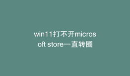 win11打不开microsoft store一直转圈