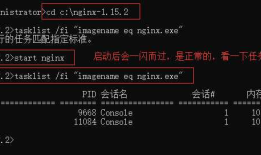 Nginx Windows详细教程