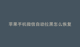 苹果手机微信自动拉黑怎么恢复