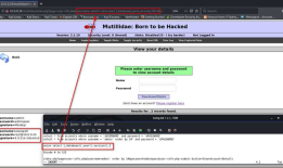 Ethical Hacking - Web Penetration Testing(9)
