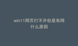win11网页打不开但是有网什么原因