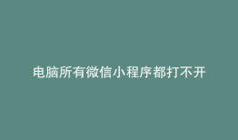 电脑所有微信小程序都打不开