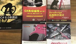 NET之路回忆录