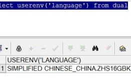 plsql中文乱码问题（显示问号）