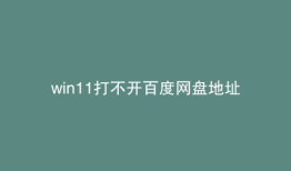win11打不开百度网盘地址
