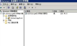 win2003 r2 sp2 配置IIS及安装.NET 2.0和4.0