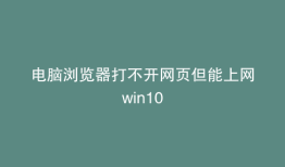 电脑浏览器打不开网页但能上网win10