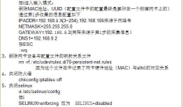 Linux_创建母版，快速克隆，如何移动虚拟机.ziw