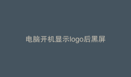 电脑开机显示logo后黑屏