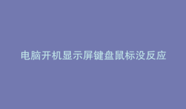电脑开机显示屏键盘鼠标没反应
