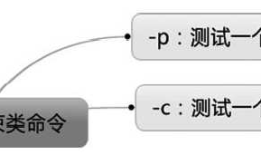 Appium自动化测试教程-自学网-monkey参数