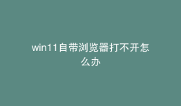 win11自带浏览器打不开怎么办
