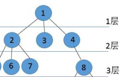 Mysql与索引有关的树的概念