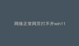 网络正常网页打不开win11