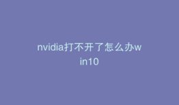 nvidia打不开了怎么办win10