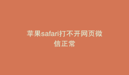 苹果safari打不开网页微信正常