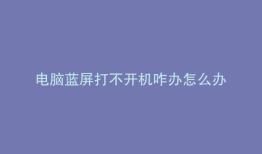 电脑蓝屏打不开机咋办怎么办