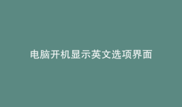 电脑开机显示英文选项界面