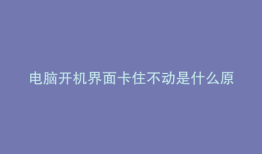 电脑开机界面卡住不动是什么原因