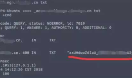 申请Let’s Encrypt通配符HTTPS证书(certbot ACME v2版)