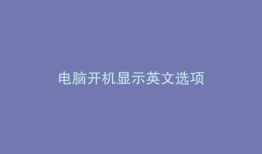 电脑开机显示英文选项