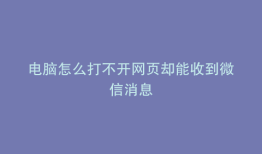 电脑怎么打不开网页却能收到微信消息