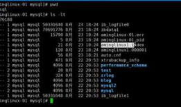 8.31 MySQL主从配置、准备工作、配置主、配置从、测试主从同步