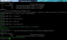 Apache Tomcat Manager 1.0