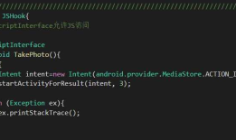 android webview和 javascript 进行交互