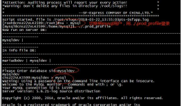 通过cmd启动mysql