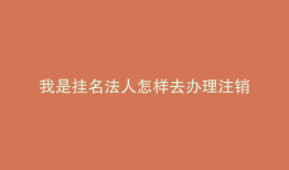 我是挂名法人怎样去办理注销