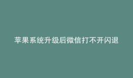 苹果系统升级后微信打不开闪退