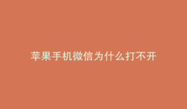 苹果手机微信为什么打不开
