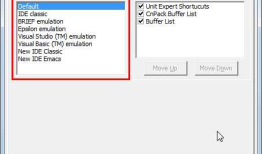 Delphi Code Editor 之 基本操作