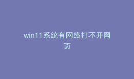 win11系统有网络打不开网页
