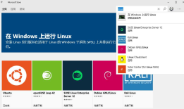 Windows Ubuntu Bash申请免费通配符证书(Let's Encrypt)并绑定IIS
