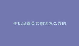 手机设置英文翻译怎么弄的