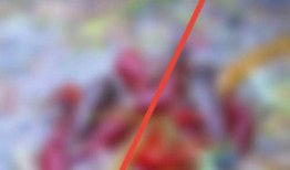 微信视频号如何不让好友看点赞视频【教程详解】