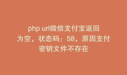 php url微信支付宝返回为空，状态码：58，原因支付密钥文件不存在