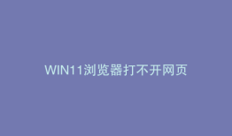 WIN11浏览器打不开网页