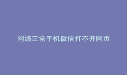 网络正常手机微信打不开网页
